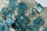 Cubic, Blue-Green Fluorite Crystals on Druzy Quartz - Fluorescent #185464-3